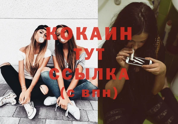 кокс Алексин