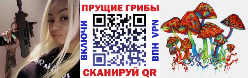 Галлюциногенные грибы Psilocybe Камешково