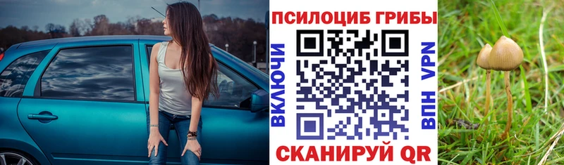 что такое   Камешково  Псилоцибиновые грибы MAGIC MUSHROOMS 
